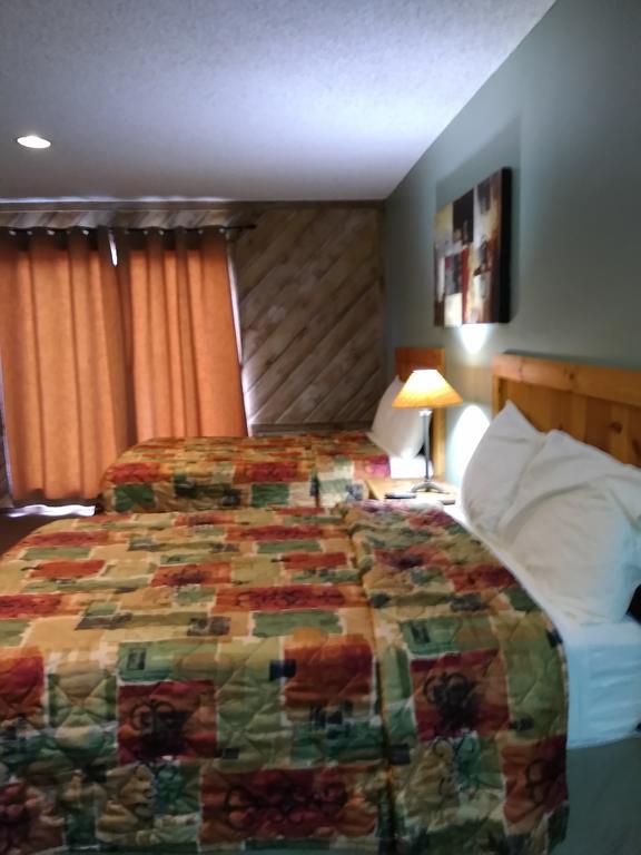 Lodge At Turkey Cove Canyon Lake Eksteriør bilde